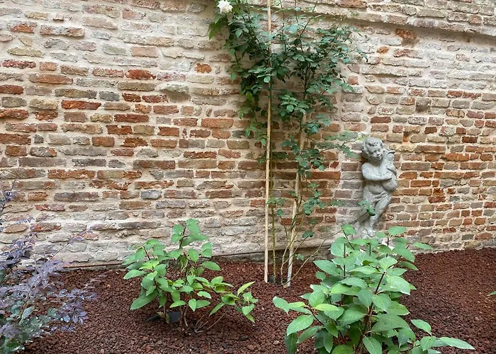 Ca' Del Pittor Apartments